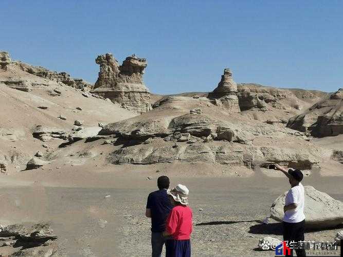 妄想山海日月神木攻略：掌握玩法细节，尽享修仙乐无穷探寻神秘木境探秘与体验之道