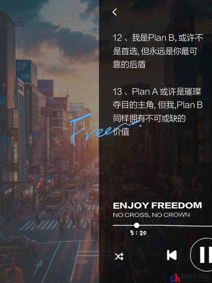 Plan B实施预览：揭秘关键截图背后的故事